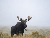 Teton National Park