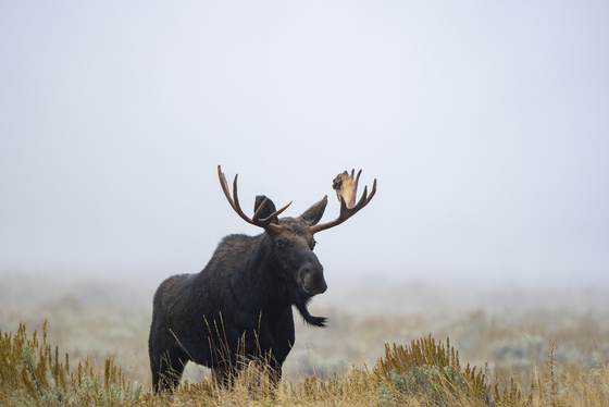 Teton National Park