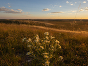 Pawnee National Grassland