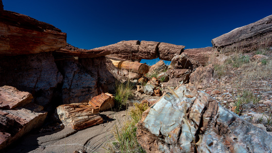 Petrified Forest Natioanl Park