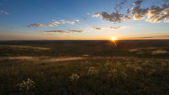 Pawnee National Grassland