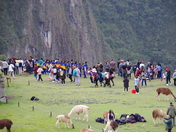 Peru November 2023