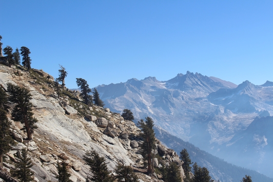 Sequoia National Park