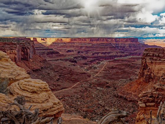 CanyonLands National Park