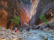 Zion National Park