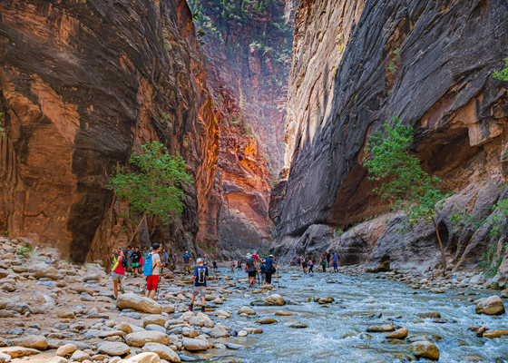 Zion National Park