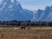 Grand Teton National Park