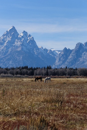 Grand Teton National Park