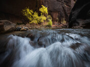 Zion National Park