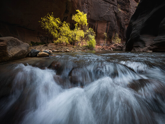 Zion National Park