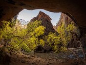 Zion National Park
