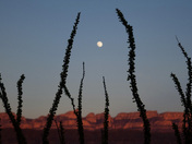 Big Bend National Park