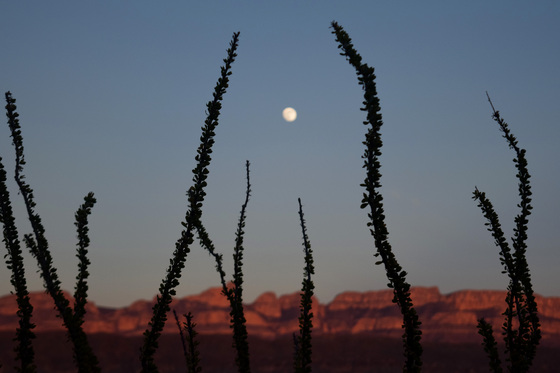 Big Bend National Park