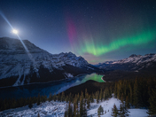 Aurora on Peyto Lake