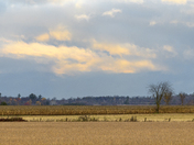 Eastern Ontario Farmland