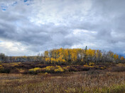 Fall Landscapes - Manitoba