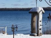 The Winter of Our Discontent