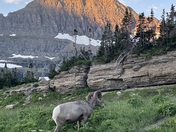 Glacier National Park