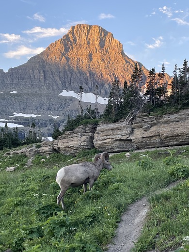 Glacier National Park