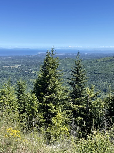 Olympic National Park