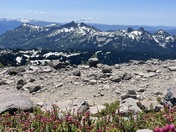 Mt. Rainier National Park