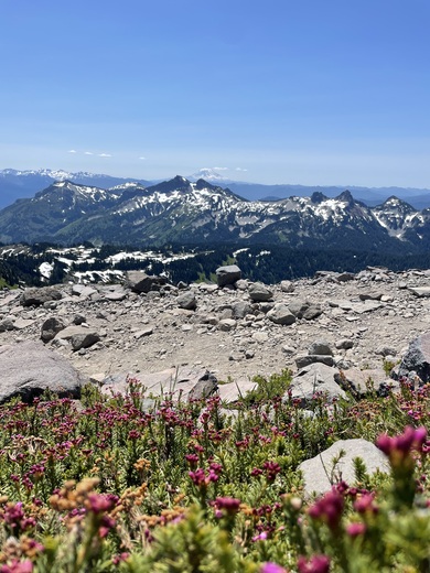 Mt. Rainier National Park