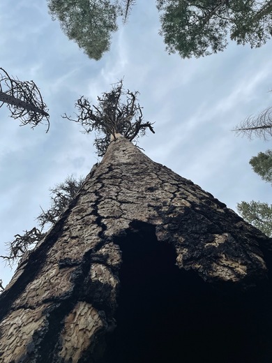 Yosemite National Park