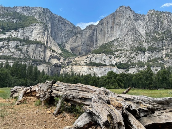 Yosemite National Park