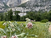 Yosemite National Park