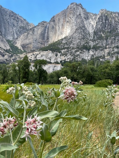 Yosemite National Park