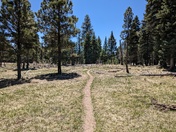 Valles Caldera National Preserve