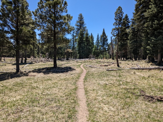 Valles Caldera National Preserve