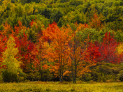 Acadia National Park