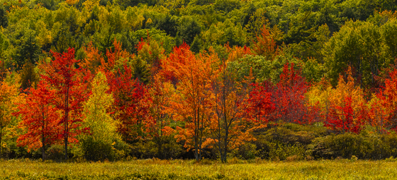 Acadia National Park