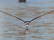 St. Marks National Wildlife Refuge