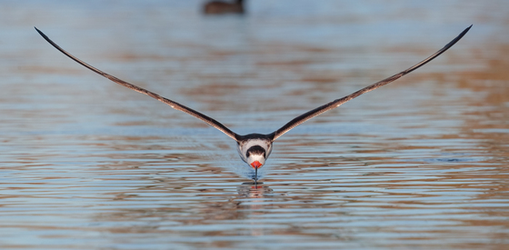 St. Marks National Wildlife Refuge