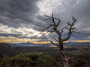 Mesa Verde National Park