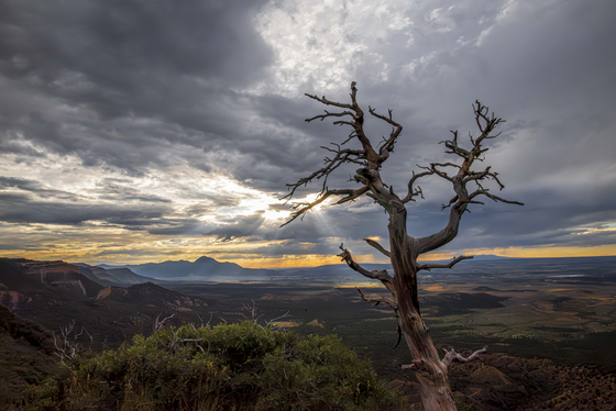 Mesa Verde National Park