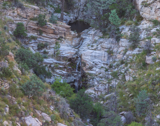 Santa Catalina Mountains