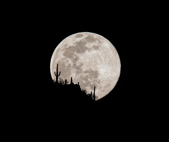 Saguaro National Park West