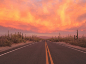 Saguaro National Park West