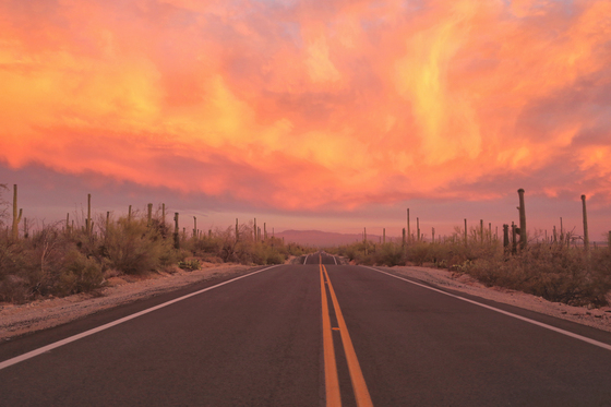 Saguaro National Park West