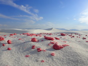 White Sands National Park
