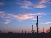 Saguaro National Park West