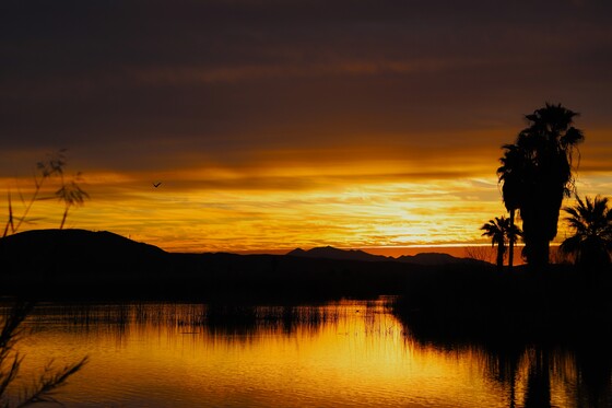 Imperial National Wildlife Refuge