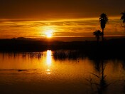 Imperial National Wildlife Refuge
