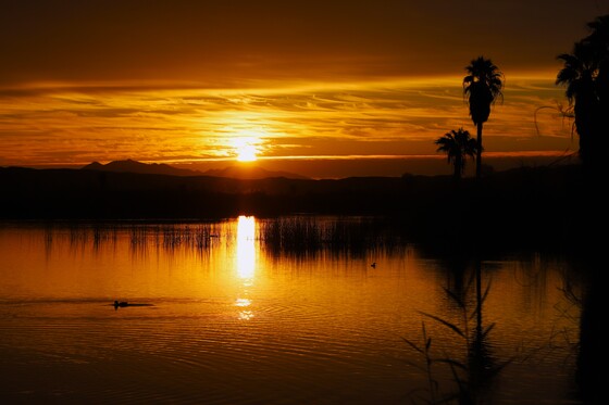 Imperial National Wildlife Refuge
