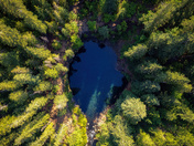 Deschutes National Forest