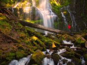 Willamette National Forest 