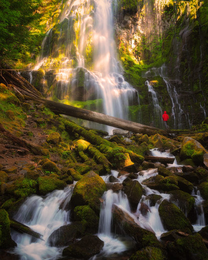 Willamette National Forest 